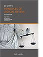 Principles of Judicial Review